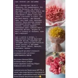 Flower Cake. Бисквитные торты с цветами (Таня Силаева)