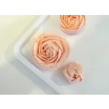 Курс по кремовой флористике (Анна Девяткина)