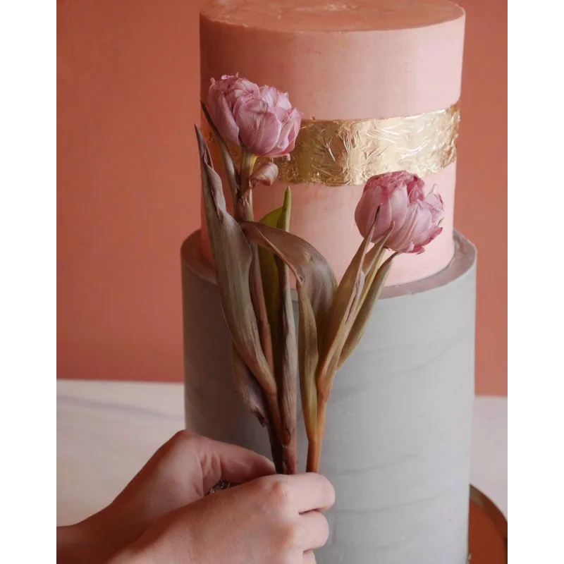 [Cake Family School] Онлайн-курс "Начинающий кондитер" Тариф Бизнес (Мадина Элимхаджиева)