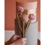 [Cake Family School] Онлайн-курс "Начинающий кондитер" Тариф Бизнес (Мадина Элимхаджиева)