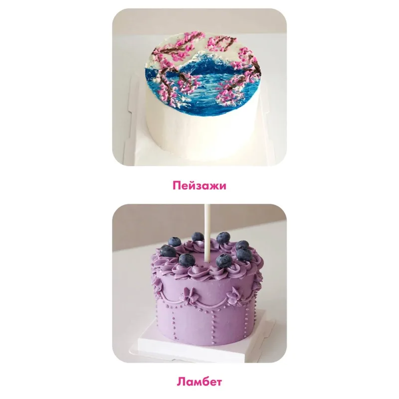 [Alina Velvet] Бенто-торты. Тариф Бизнес на бенто (Алина Вельвет)