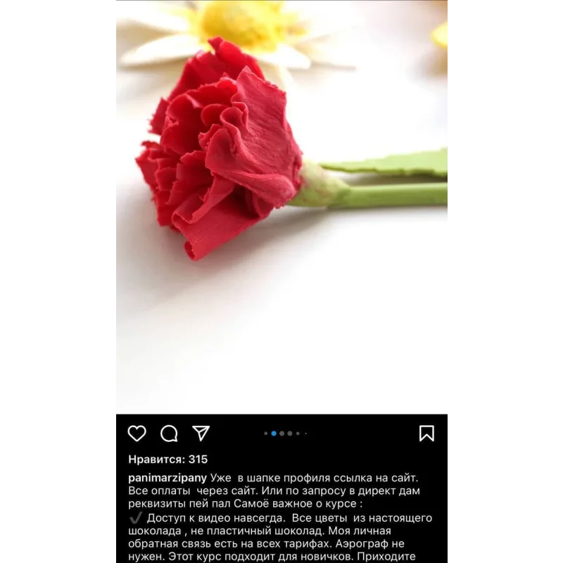 Видео-курс "Цветы из шоколада". Тариф "Только шоколад" (Ксения Панько)