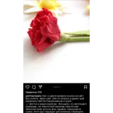 Видео-курс "Цветы из шоколада". Тариф "Только шоколад" (Ксения Панько)