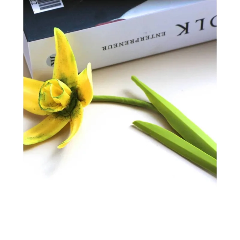 Видео-курс "Цветы из шоколада". Тариф "Только шоколад" (Ксения Панько)