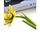 Видео-курс "Цветы из шоколада". Тариф "Только шоколад" (Ксения Панько)