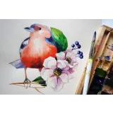 Рисовать может каждый. Тариф художник (Женя Мельникова, Лена Елькина-Ковалёва)