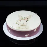 Курс "Шоколадная магия" (Юлия Агафонова)