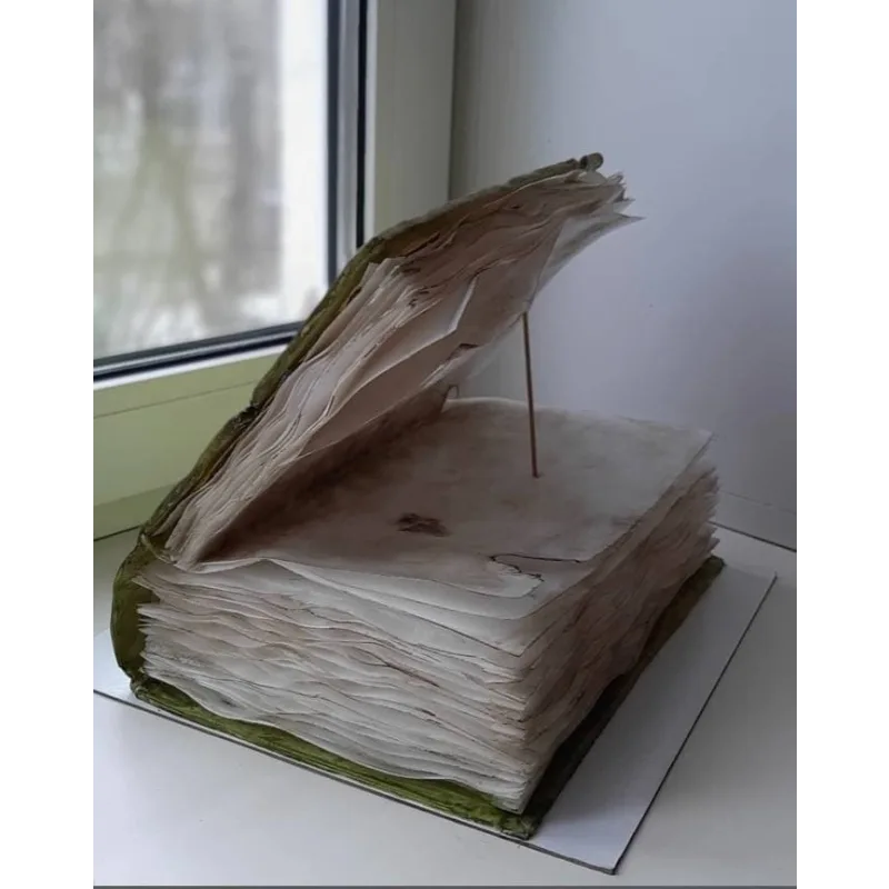 Старинная книга (Елена Гнут)