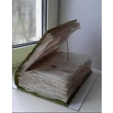 Старинная книга (Елена Гнут)