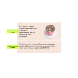 [Palette Dessert] Торты, которые приносят миллионы (Лиза Палет)