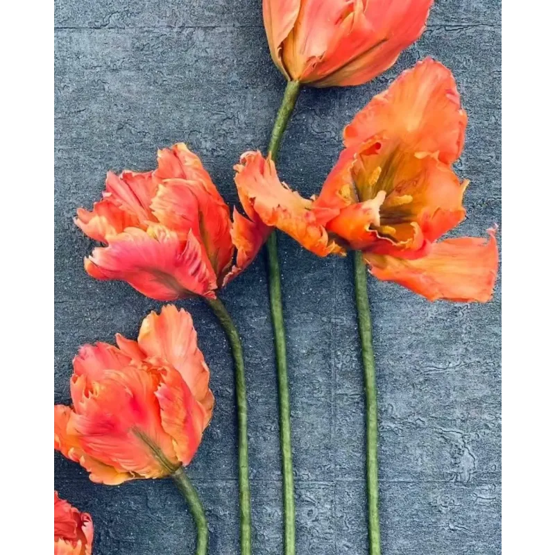 Тюльпан попугай из сахарной мастики. Май 2021 (elenawilkinson)