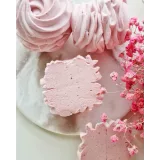 Видео урок "Зефир в шоколаде" (desertmsk)