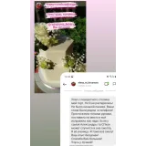 Все секреты многоярусных тортов. Лето 2021 (Александра Романова)