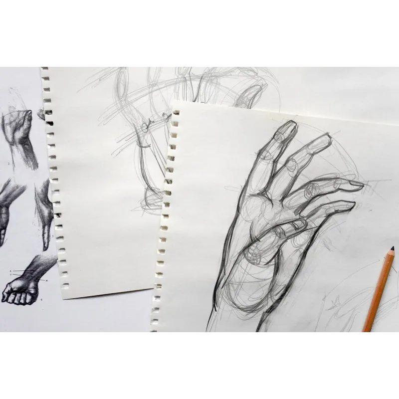 Рисовать может каждый. Тариф художник (Женя Мельникова, Лена Елькина-Ковалёва)