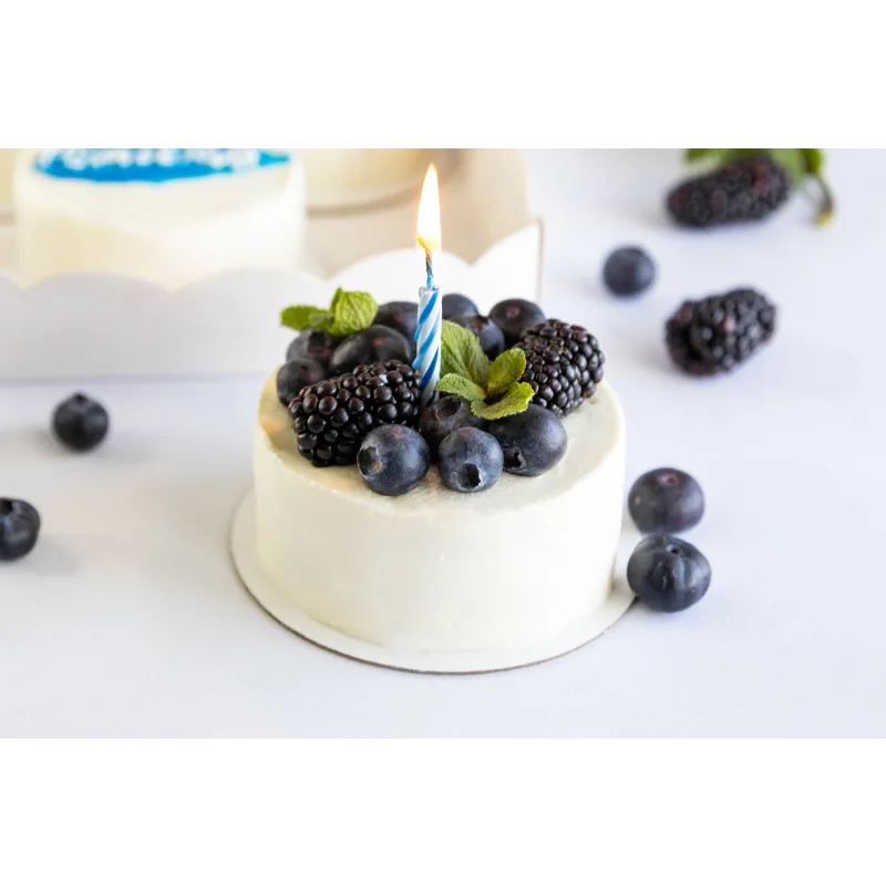 Вне формата: Бенто и Cake to go (Мария Владимирова)