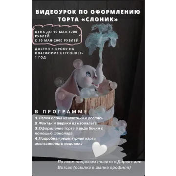 Торт "Слоник" (Анна Сухова, anechkacake)