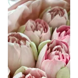 Махровые зефирные тюльпаны (Ляйсян Казыргалина)