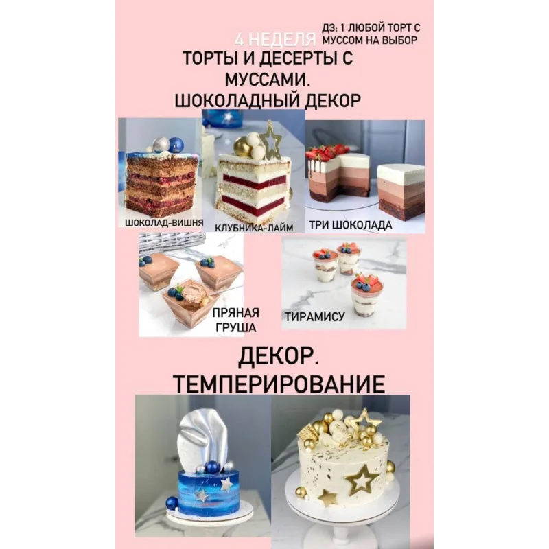 Курс "От новичка до профи". Версия VIP. (Ольга Шмукста)