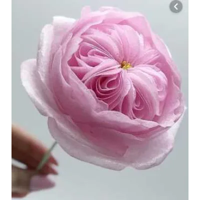 Реалистичные вафельные цветы (Светлана Кузьмина)