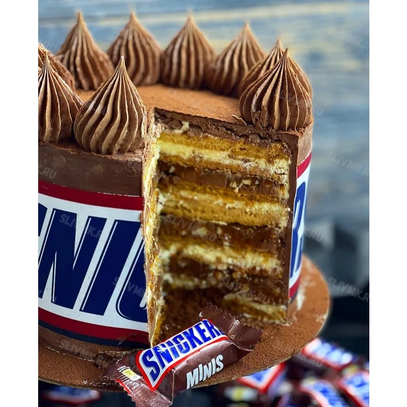 Сборник видеоуроков "30 медовиков" (gift_cookies)