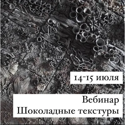 Вебинар "Шоколадные текстуры" (Lyubov Ki, cakeit_nsk)