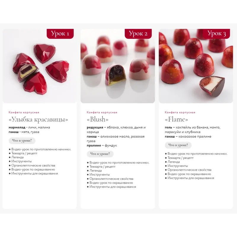 [Foxclab] Шоколадные конфеты с глянцевым декором. Пакет Стандартный (Ольга Пениоза, Олег Хотько)