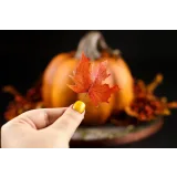 Большой курс по 3D-тортам (MARIA MAGRAT, mrs.magrat)