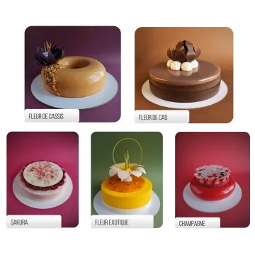 Курс "Муссовые торты" (Coup De Coeur)