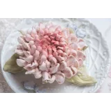 [Cake pro] Онлайн курс "Зефирные цветы". Пакет 3  Экспертный (Елена Решетняк)