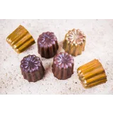 Курс "Канеле" (Нина Тарасова)