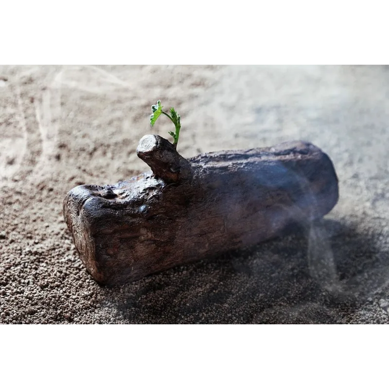 Курс "Новогодние десерты 2021" (Юлия Беличенко, belichenko_julia)