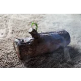 Курс "Новогодние десерты 2021" (Юлия Беличенко, belichenko_julia)