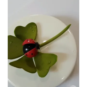 Онлайн урок по Торту «Passion»(Светлана Кошкина)