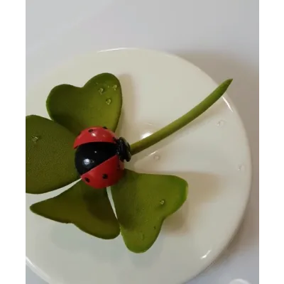 Онлайн урок по Торту «Passion»(Светлана Кошкина)