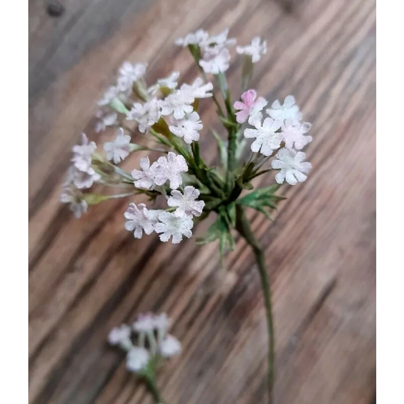 [cakeit_nsk] Курс Вафельные цветы «Лето» (Любовь Ки)