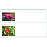 [Cake pro] Онлайн-курс "Экзотические цветы" (Елена Решетняк)