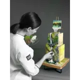 Онлайн-курс "Роспись тортов и вафельный декор" 2 ступень (Лилит Аракелян)