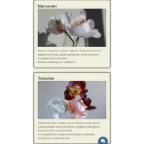 Курс весенний (Татьяна Ефремова)