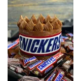 Сборник видеоуроков "30 медовиков" (gift_cookies)