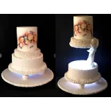 Мой первый свадебный сезон (Татьяна Шкода)