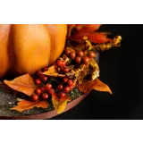 Большой курс по 3D-тортам (MARIA MAGRAT, mrs.magrat)