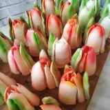 Курс "Зефирные тюльпаны во всю величину" (coberi_buket)