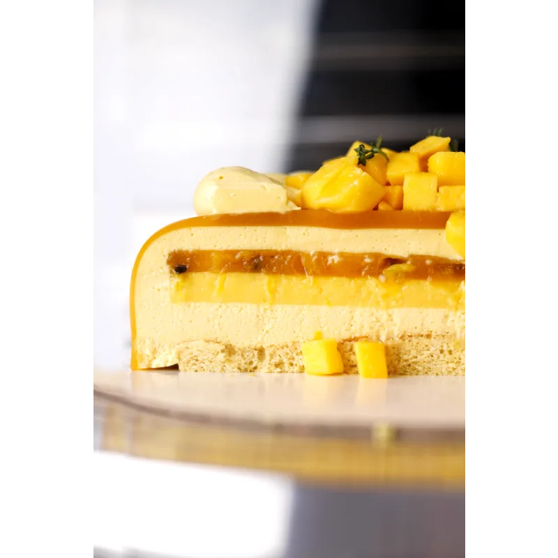 [ex_pastry_cook] Онлайн курсс по приготовлению муссовых тортов (Александра Шинкаренко)