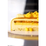 [ex_pastry_cook] Онлайн курсс по приготовлению муссовых тортов (Александра Шинкаренко)