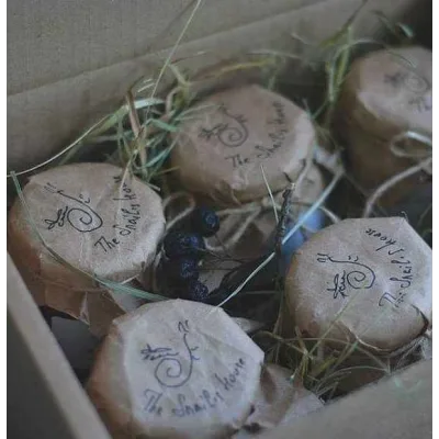 Курс зельеварения «Целительные джемы» (IrinaTaro)