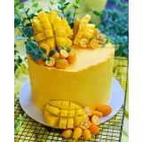 Сборник видеоуроков "6 медовиков" (gift_cookies)