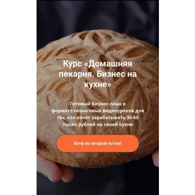 Домашняя пекарня. Бизнес на кухне (Анастасия Савельева)