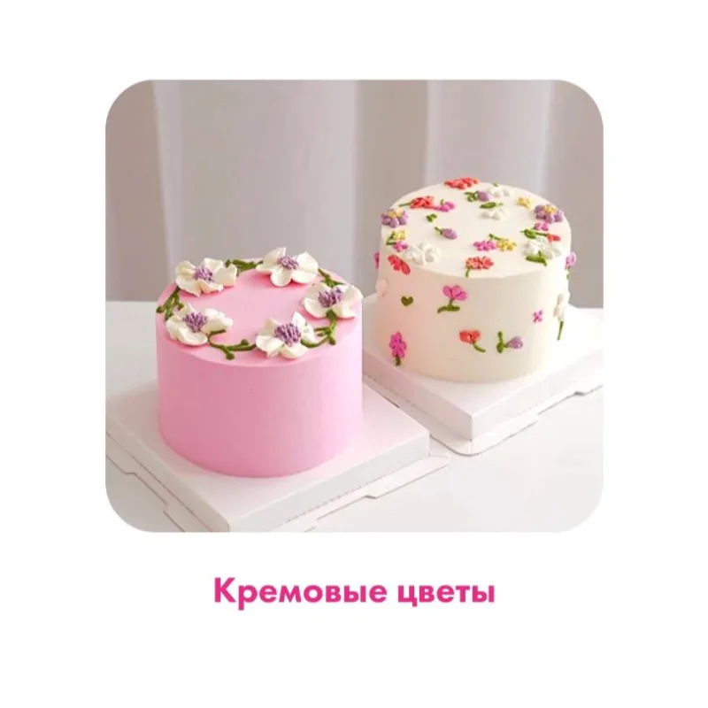 [Alina Velvet] Бенто-торты. Тариф Бизнес на бенто (Алина Вельвет)