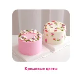 [Alina Velvet] Бенто-торты. Тариф Бизнес на бенто (Алина Вельвет)