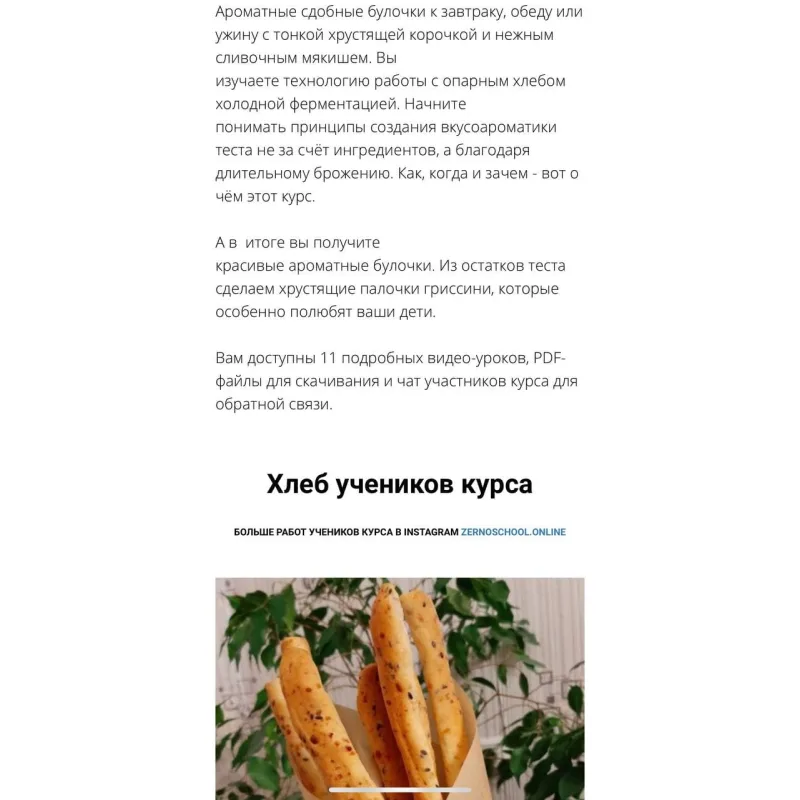 Панини и гриссини (Ахмед Али-заде)